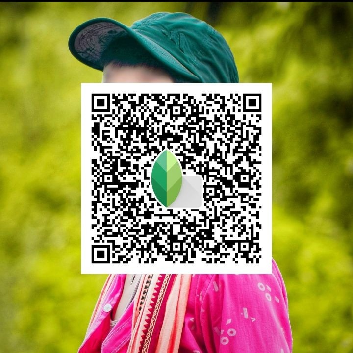 Snapseed Photo Editing Qr Codes