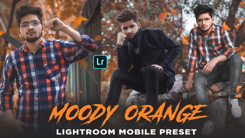 Lightroom Orange Effect Premium Dng Preset