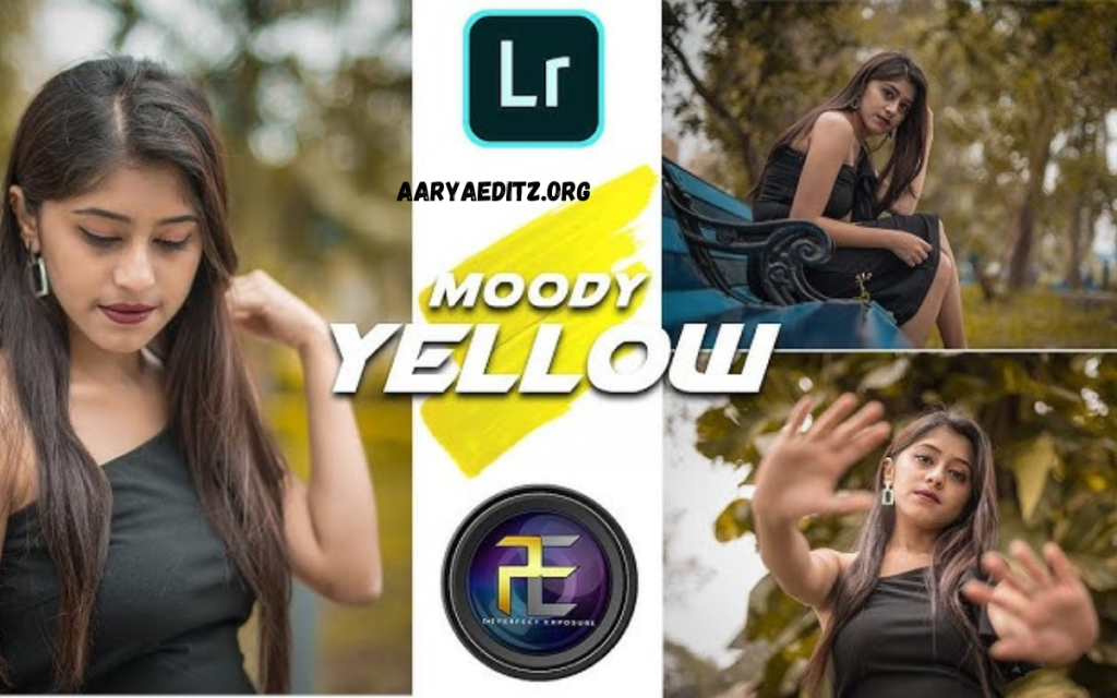 Lightroom Moody Yellow Premium Dng Preset