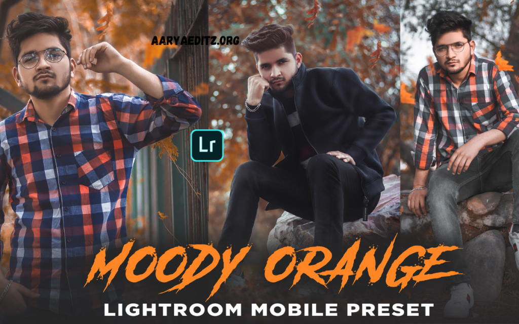 Moody Orange Free Lightroom Preset