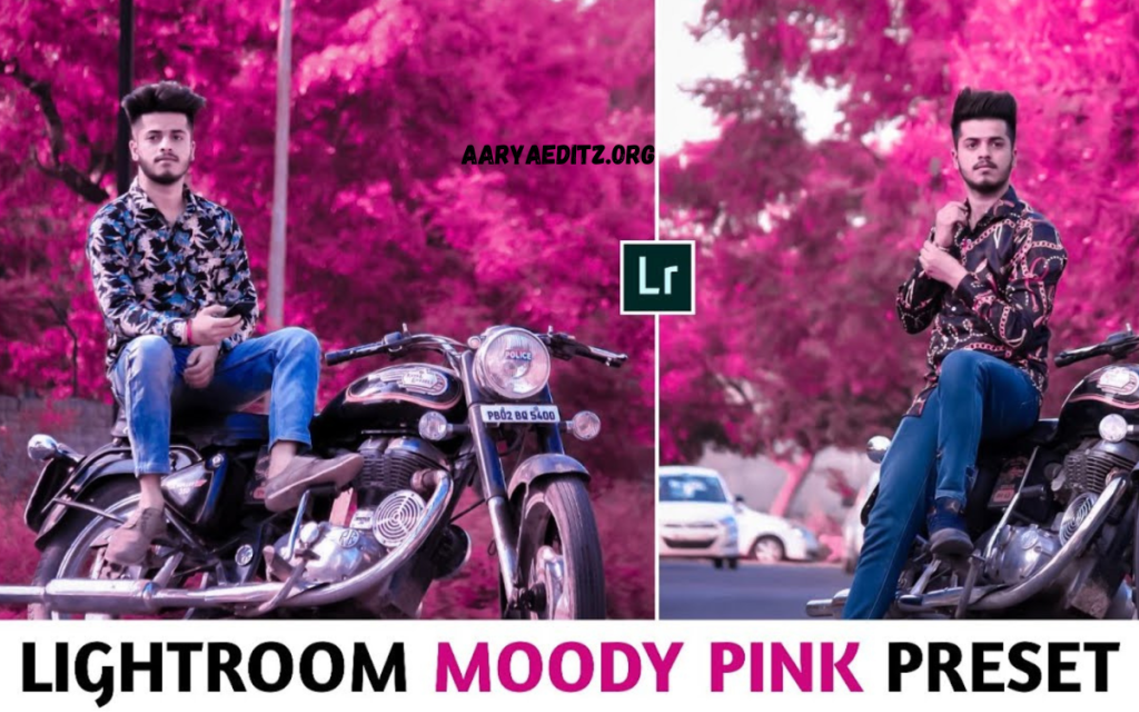 Moody Pink Lightroom Preset Free Download