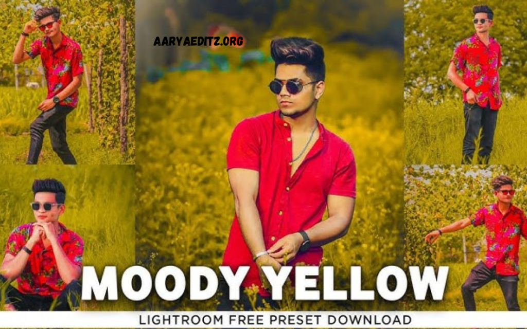 Moody Yellow Free Lightroom Presets