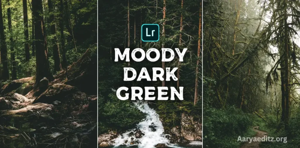 Black And Green New Lightroom Presets