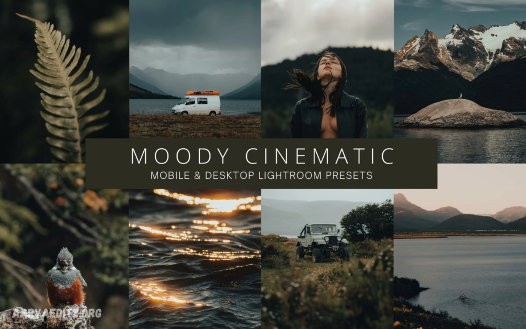 Moody Cinematic Lightroom Presets