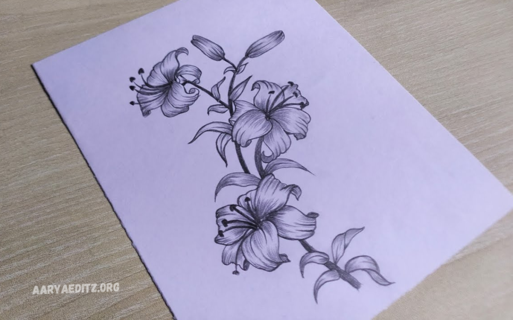 Drawing Stunning Flower Pictures